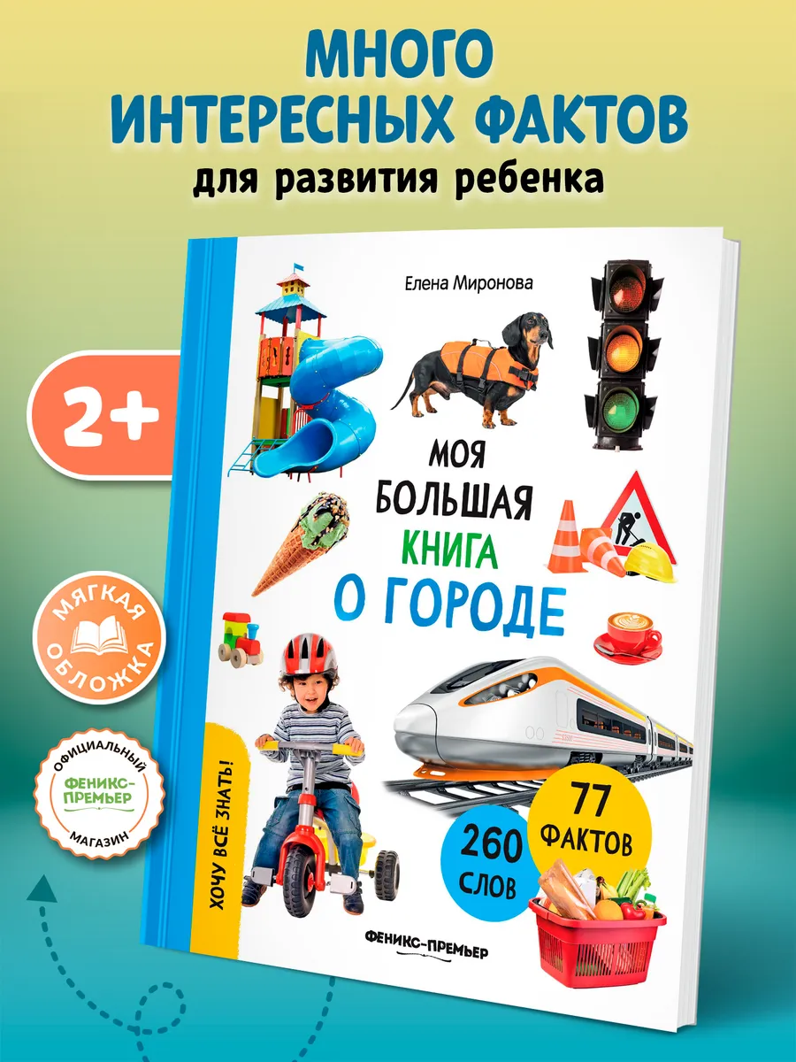 Моя большая книга о городе : Мягкая обложка