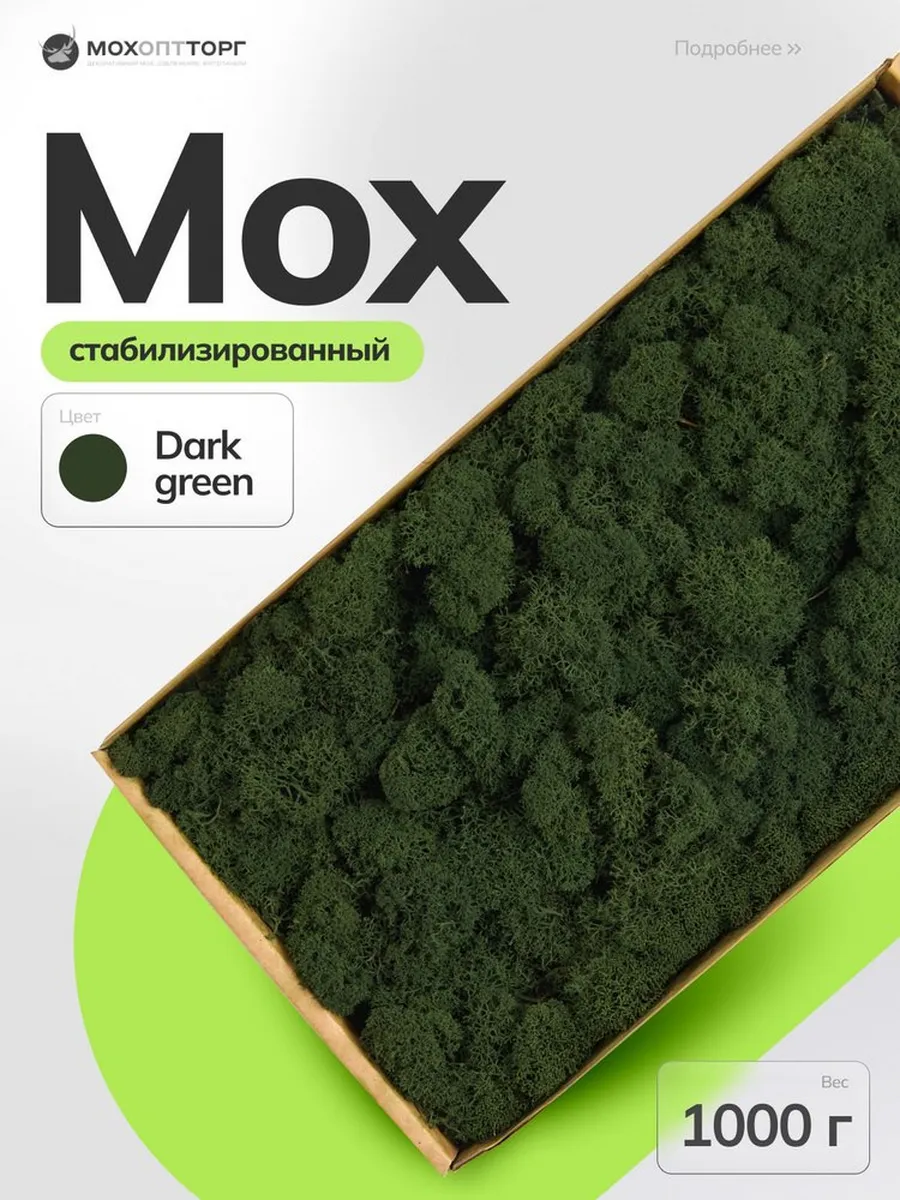 Мох стабилизированный Дарк 1000 гр