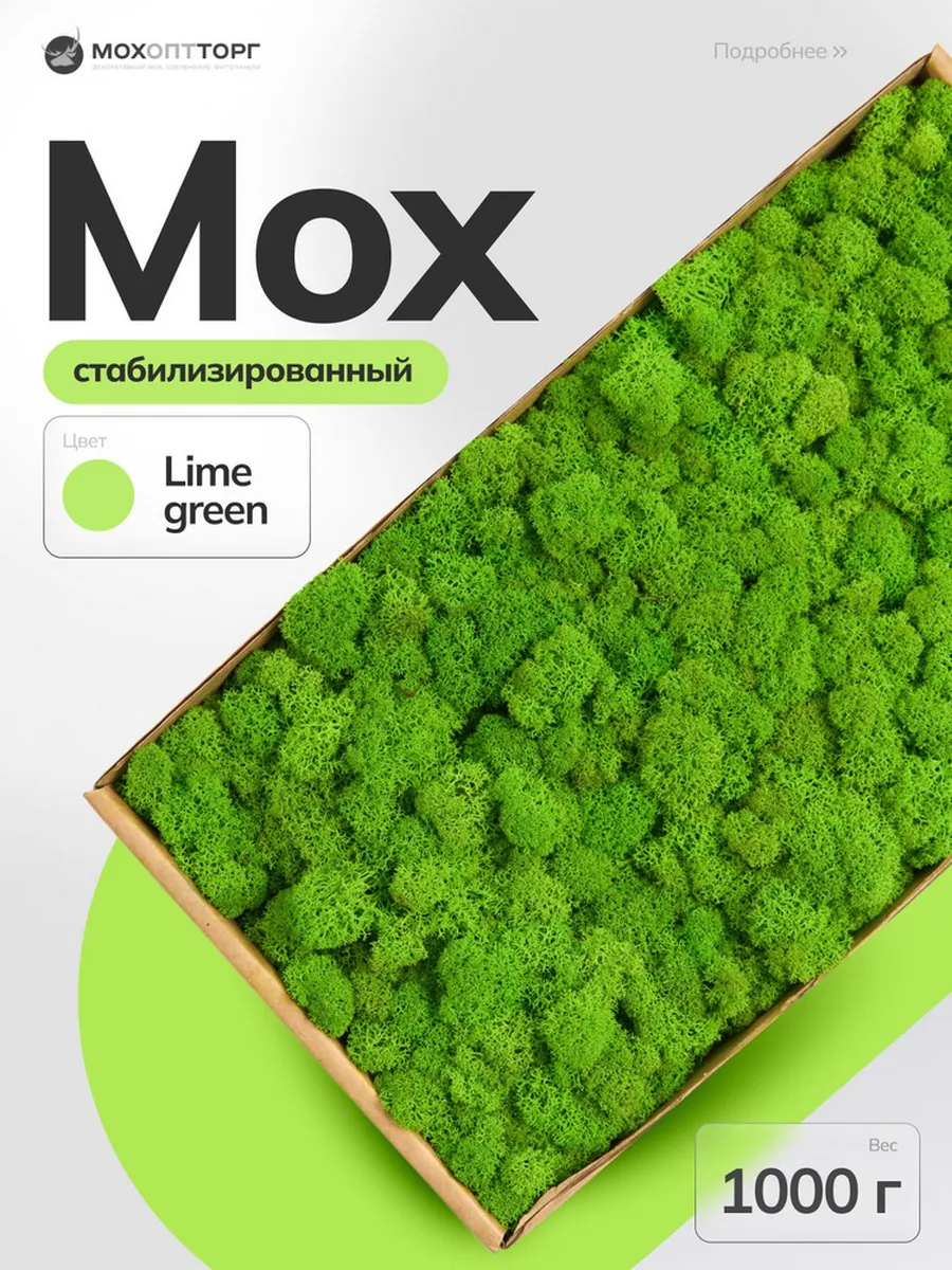 Мох стабилизированный Лайм 1000 гр