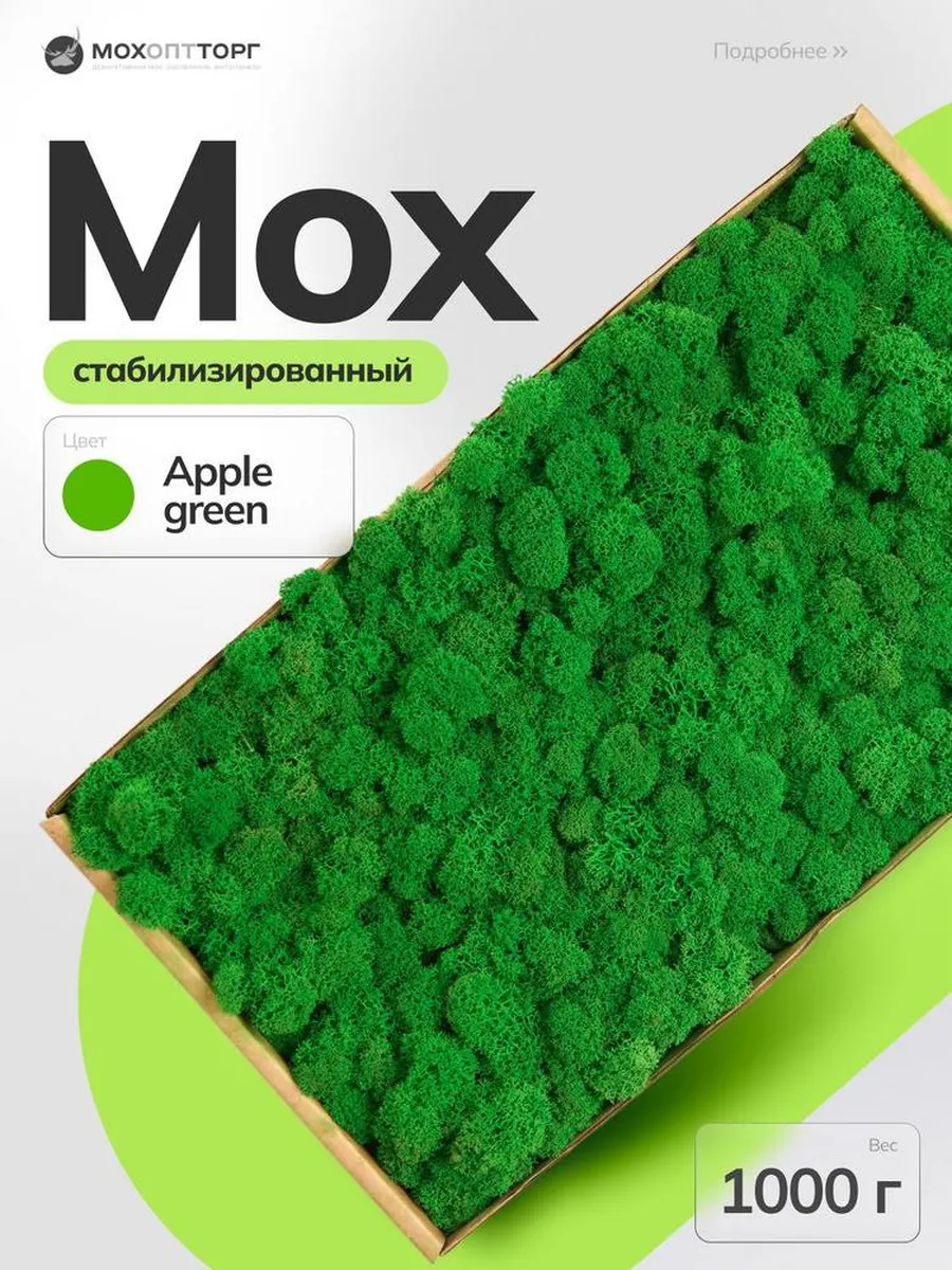 Мох стабилизированный Яблоко 1000 гр