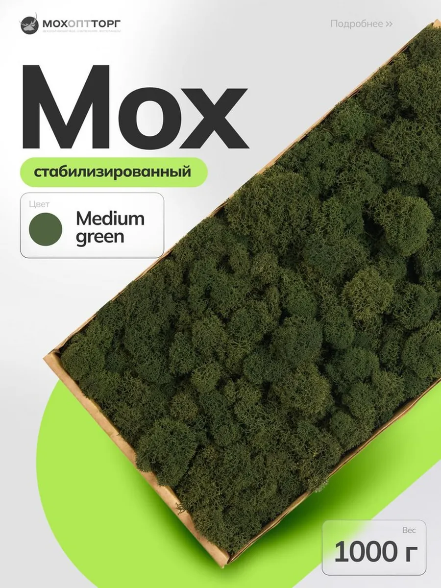 Мох стабилизированный Медиум 1000 гр