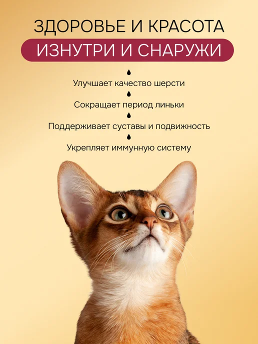 Spets Лососевое масло для кошек и собак Омега-3, 250 мл, 250 мл, фото 4