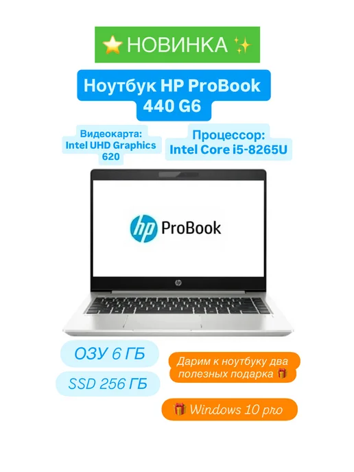 HP Ноутбук ProBook 440 G6 i5-8265U 6 256, серый
