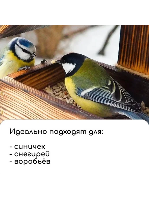 Деревянный конструктор для птиц "Птица на дереве", бежевый, фото 5