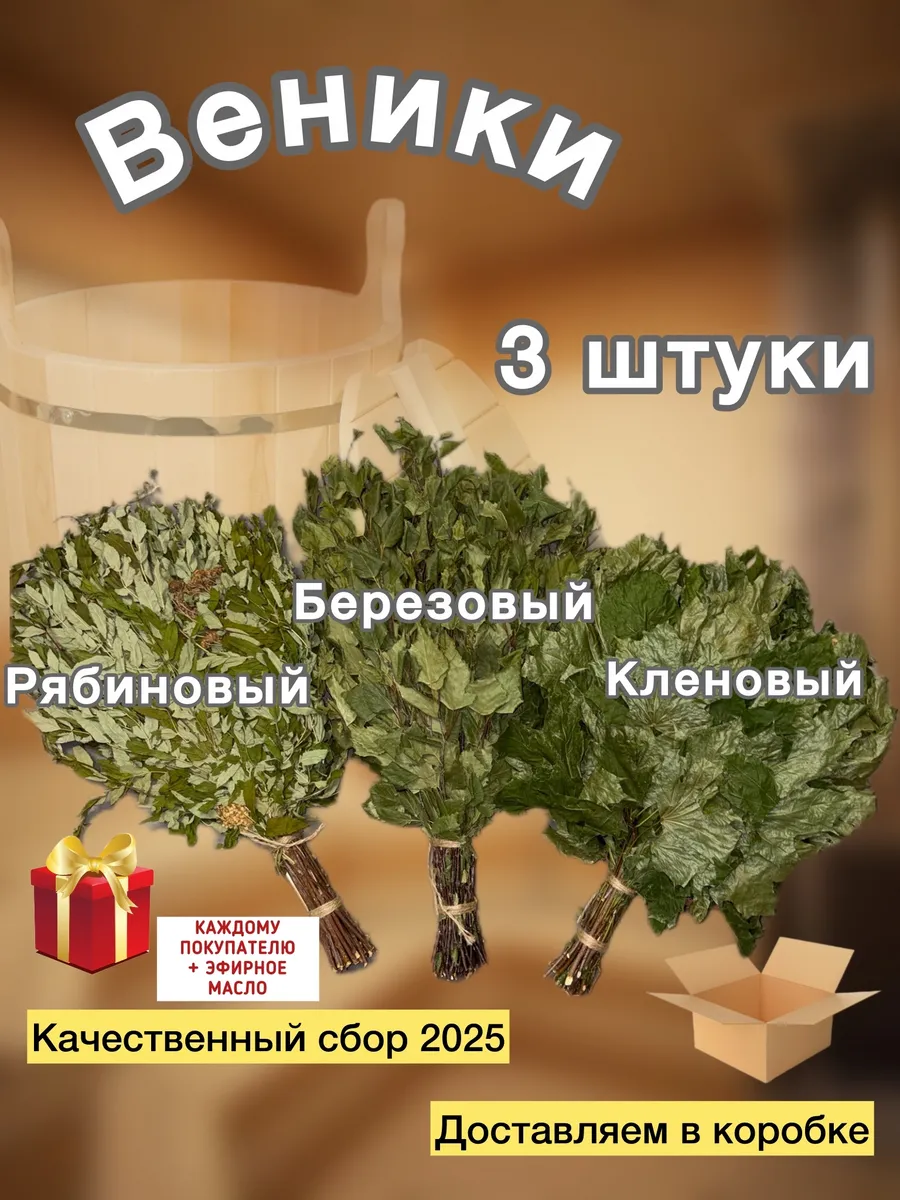 Веники банные 3 шт. (берёза, рябина, клён) + масло 2025