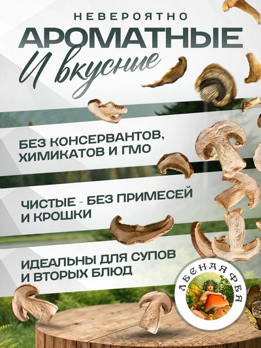 Лесная фея Лисички и опята грибы сушеные 100 г, 100 г, фото 3
