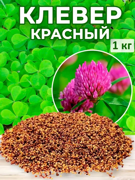 Росгазон Семена сидерат клевер красный, газонная трава 1 кг, 1 кг