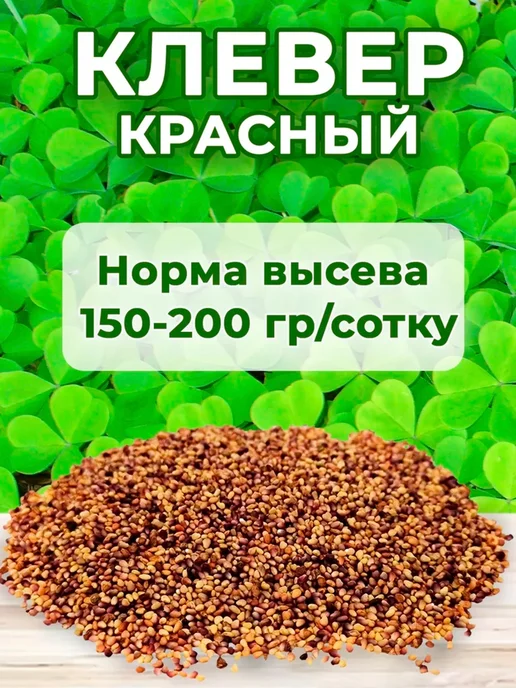 Росгазон Семена сидерат клевер красный, газонная трава 1 кг, 1 кг, фото 2