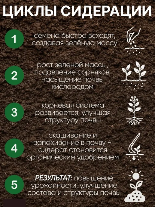 Росгазон Семена сидерат клевер красный, газонная трава 1 кг, 1 кг, фото 8