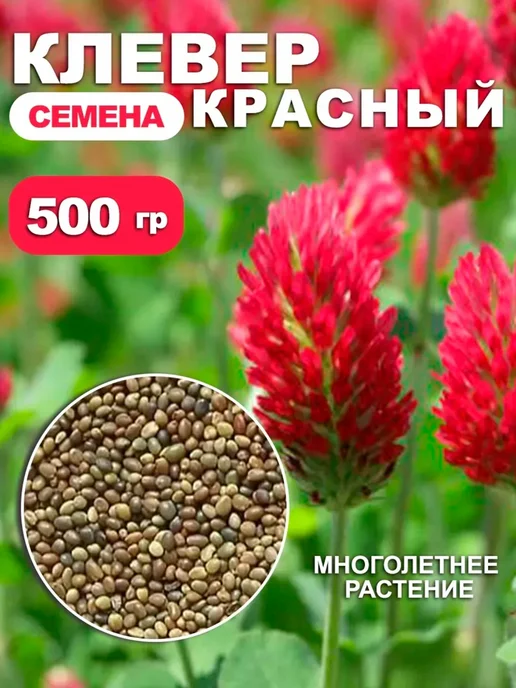 Росгазон Семена сидерат клевер красный, газонная трава 1 кг, красный
