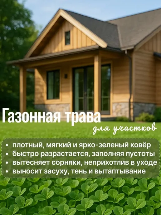 Росгазон Семена сидерат клевер красный, газонная трава 1 кг, красный, фото 2
