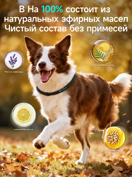 pawtters Ошейник для собак от блох и клещей,63CM,серый, черный, фото 2