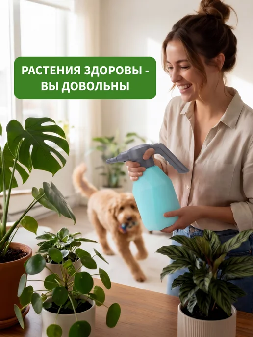ЧЕТЫРЕ СЕЗОНА Опрыскиватель аккумуляторный садовый 2 л, 2 л, фото 2