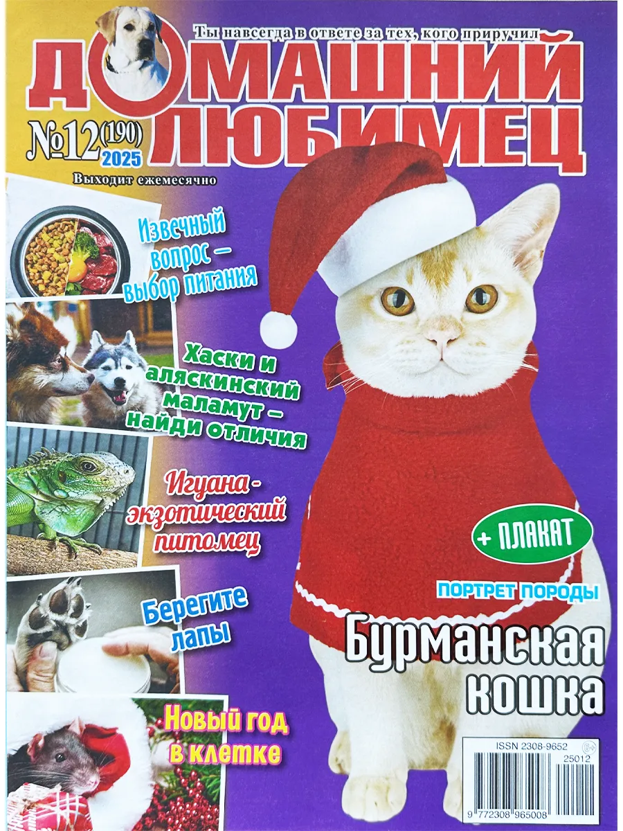 Домашний любимец 12/2025 Бурманская кошка