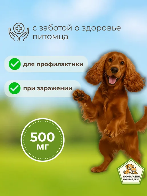 Бравекто для собак от блох и клещей 500мг, вариант, фото 2
