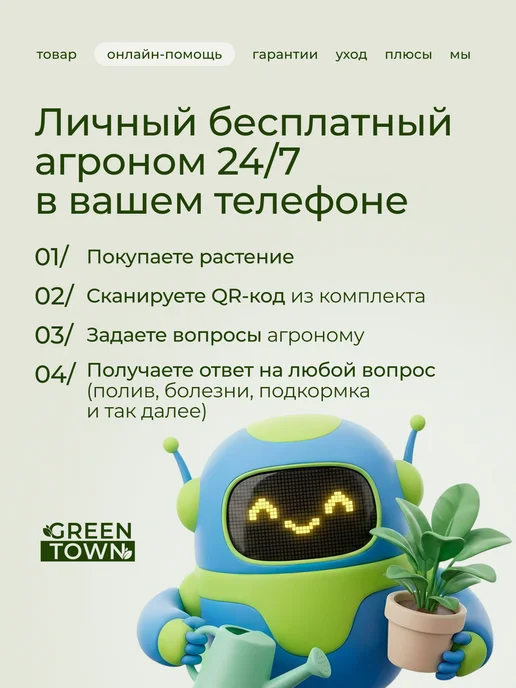 GREEN TOWN Орхидея Фаленопсис Лоттери Принц (детка) живое растение, зеленый, фото 4