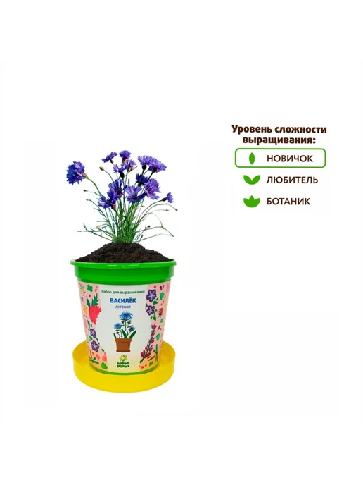 Happy Plants Набор для выращивания в горшочках Василек луговой, вариант, фото 5