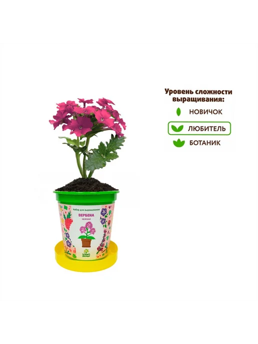 Happy Plants Набор для выращивания в горшочках Вербена, вариант, фото 5