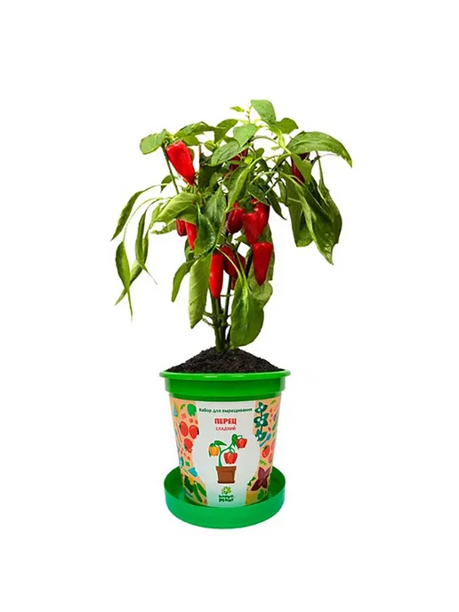 Happy Plants Набор для выращивания Перец сладкий, вариант, фото 3