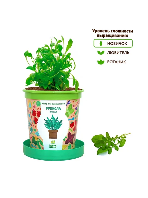 Happy Plants Набор для выращивания Руккола пряная, вариант, фото 4