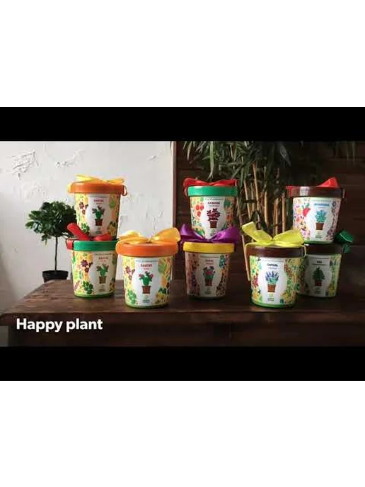 Happy Plants Набор для выращивания Подсолнух миниатюрный, вариант, фото 4