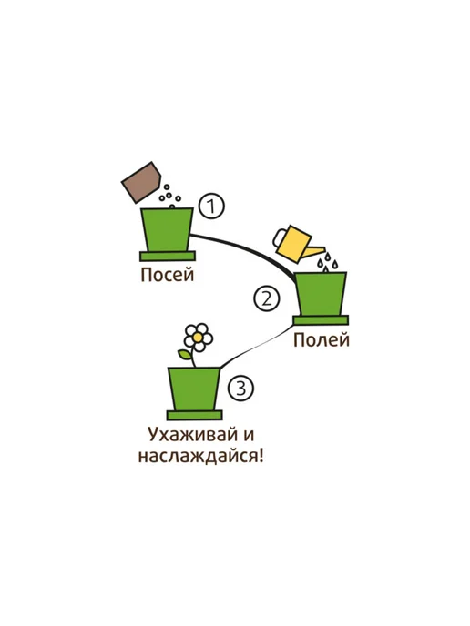 Happy Plants Набор для выращивания Горшок Флокс очарование, вариант, фото 4