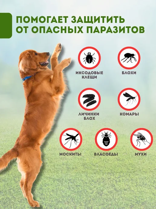 Zoetis Нексгард Спектра таблетки от клещей для собак 7.5-15 кг, 1530 кг, фото 2