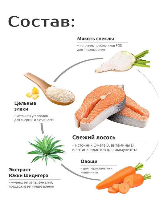 Сухой корм QUATTRO для собак, мелкие, лосось, 2,5 кг, фото 3