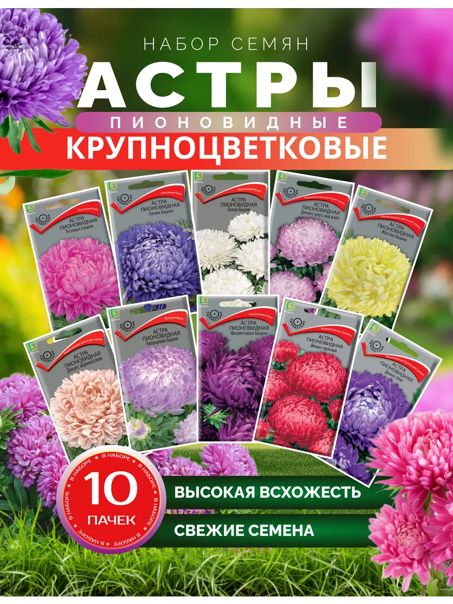 Семена астры крупноцветковой пионовидной 10 шт