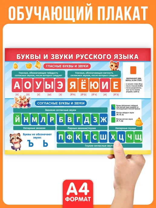 Краски шоу Обучающий плакат Буквы и звуки русского языка А4, синий