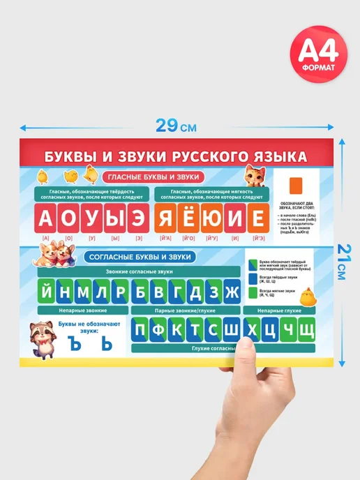 Краски шоу Обучающий плакат Буквы и звуки русского языка А4, синий, фото 4