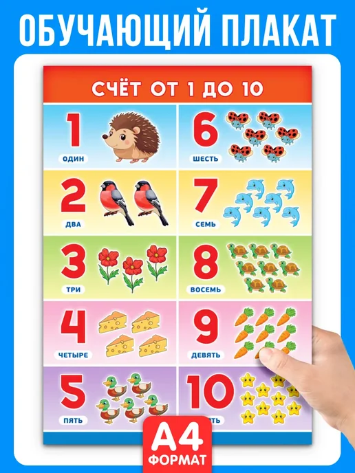 Краски шоу Обучающий плакат Счет от 1 до 10 А4, синий