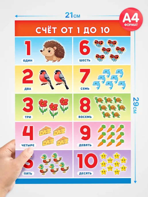 Краски шоу Обучающий плакат Счет от 1 до 10 А4, синий, фото 3