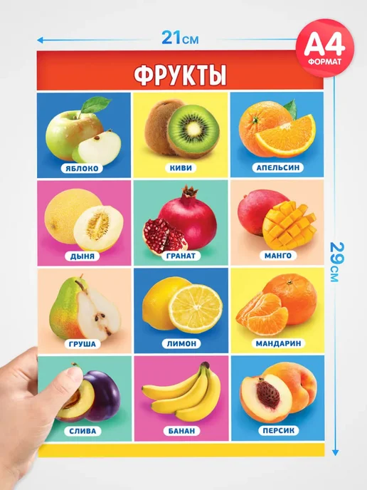 Краски шоу Обучающие плакаты для детского сада А4 9 шт, 9 шт, фото 2