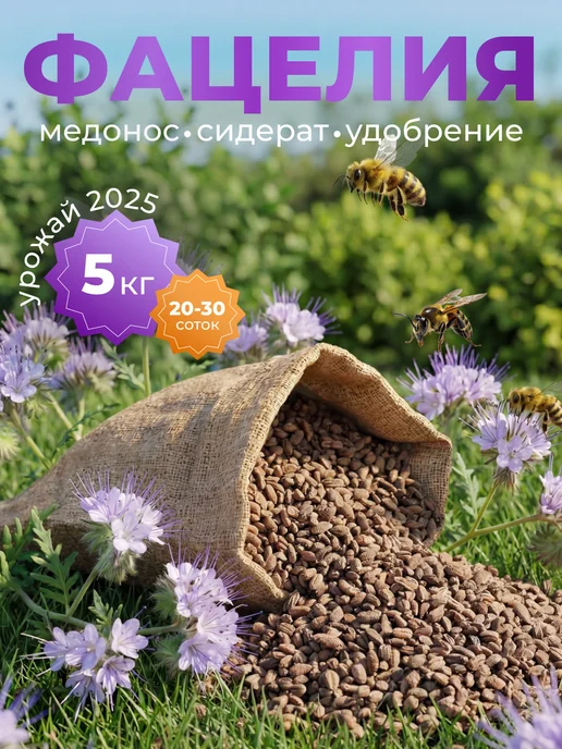 Садовита Семена фацелии сидерат, 1кг, 5 кг, фото 2
