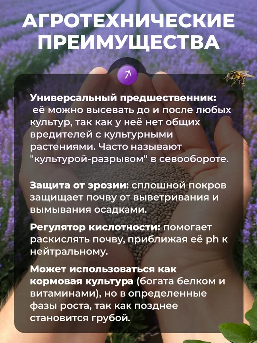 Садовита Семена фацелии сидерат, 1кг, 5 кг, фото 7