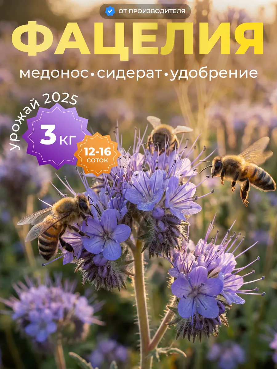 Фацелия сидерат семена, 3 кг