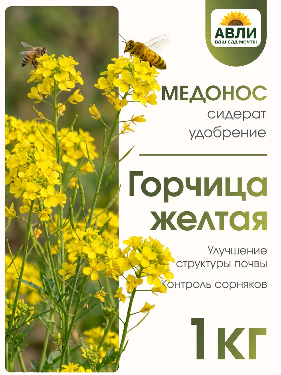 Сидерат горчица желтая семена 1кг