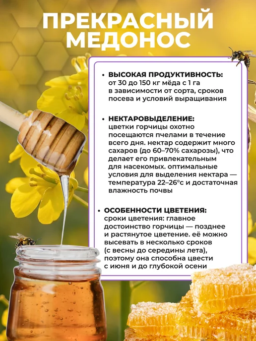 Садовита Сидерат горчица желтая семена 1кг, 1 кг, фото 5