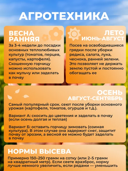 Садовита Сидерат горчица желтая семена 1кг, 1 кг, фото 7