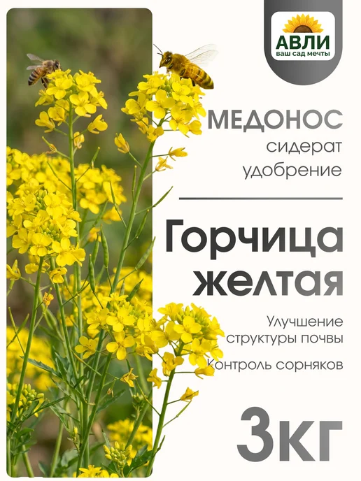 Садовита Сидерат горчица желтая семена 1кг, 3 кг