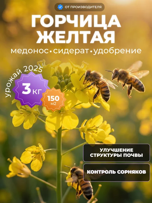 Садовита Сидерат горчица желтая семена 1кг, 3 кг, фото 2