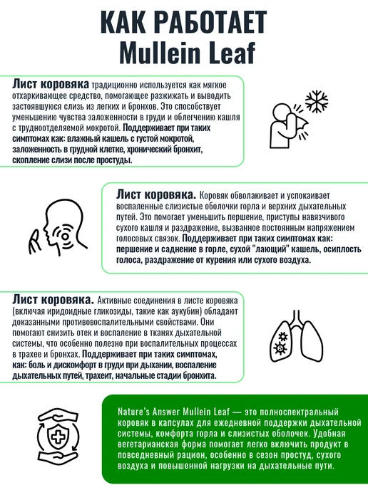 Nature’s Answer Экстракт листьев коровяка 500 мг, 90 капсул, вариант, фото 4