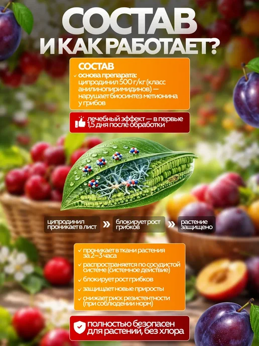 Avgust Плантенол Нео от монилиоза, 5 шт × 3 г, 5 шт, 3 г, фото 3