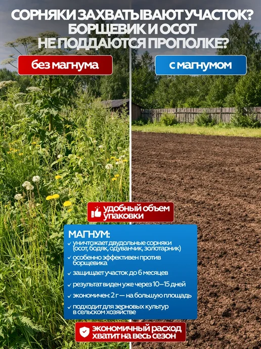 Avgust Магнум от сорняков вне посадок, 10 шт × 2 г, 10 шт, 2 г, фото 2