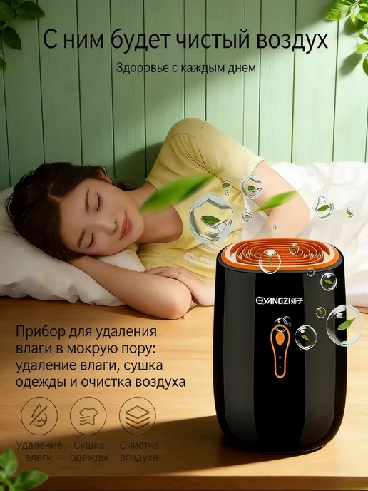 Осушитель воздуха для дома от влажности и плесени, вариант, фото 6