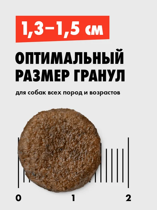 Сухой корм ULTRA Взроcлых для собак, ягненок, 20 кг, фото 3