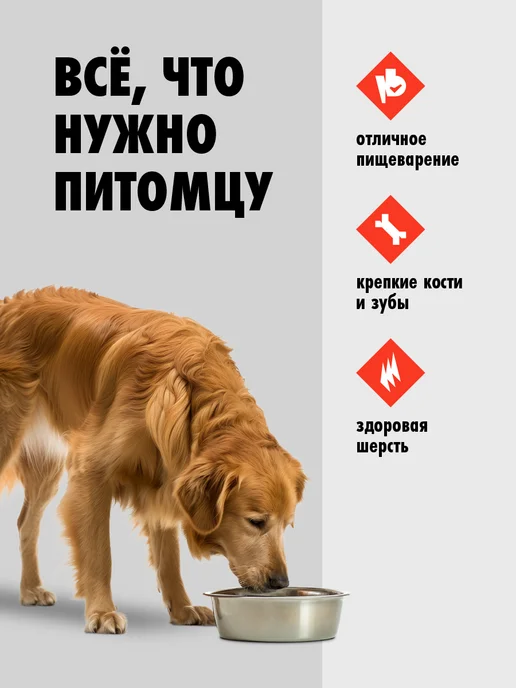 Сухой корм ULTRA Cухой для собак, говядина, 20 кг, фото 2