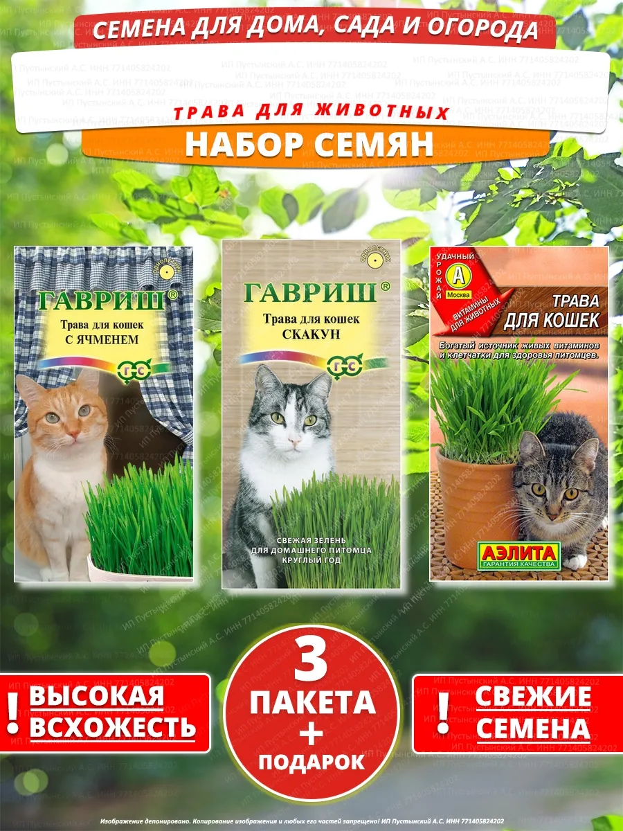 Семена трава для животных для дома сада посадки