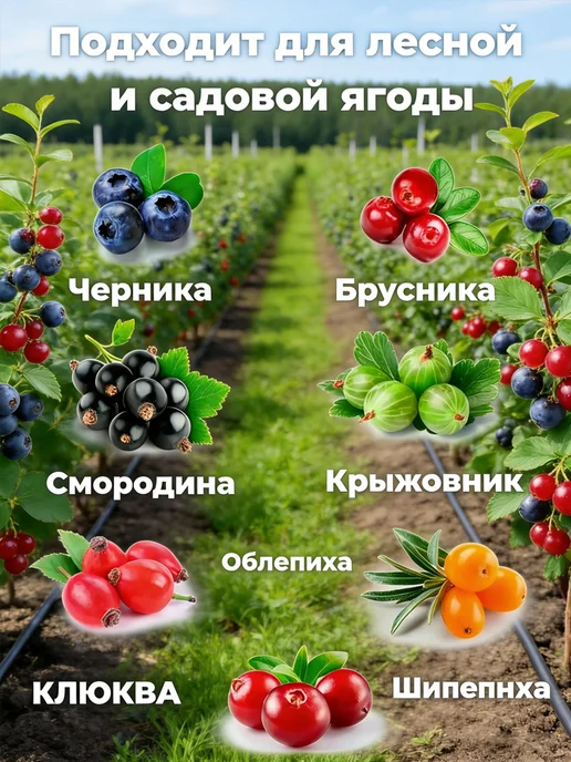 комбайн для сбора клюквы, синий, фото 2